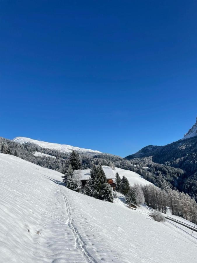 Panoramic Schopplhof Apartment Funes (Bolzano)