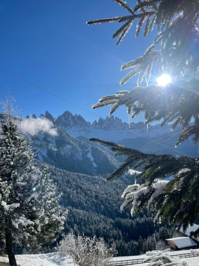 Panoramic Schopplhof Apartamento Funes (Bolzano)